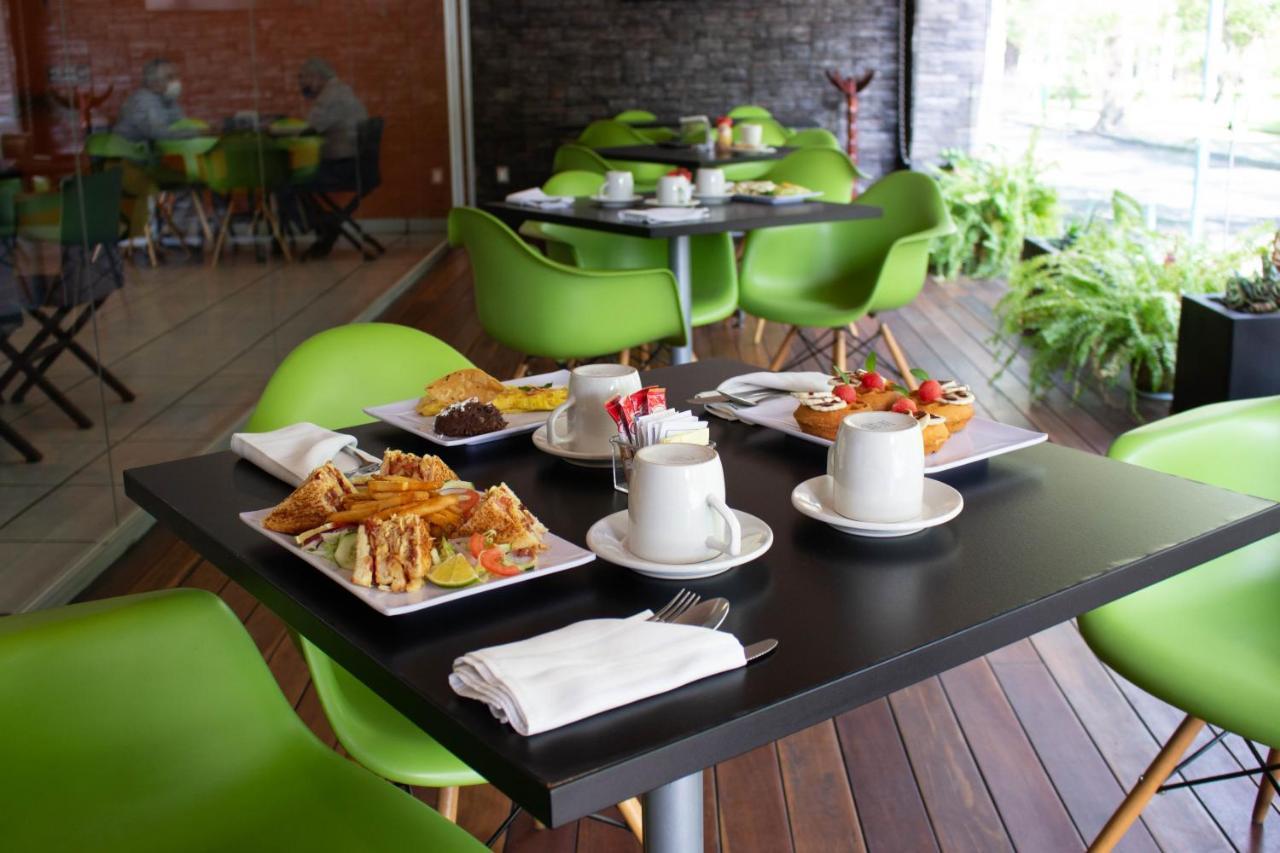 Diana Del Bosque By Dot Urban Hotel Morelia