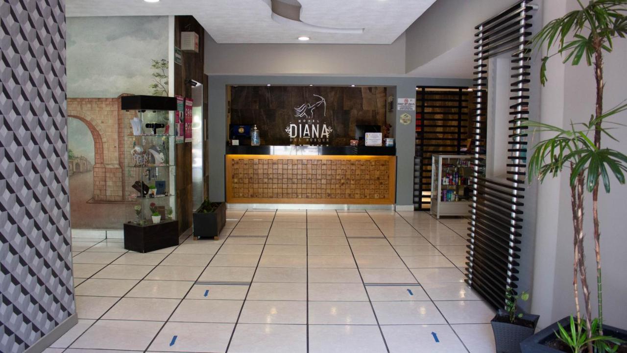 Diana Del Bosque By Dot Urban Hotel