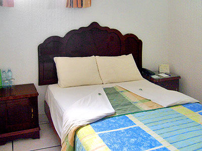 Hotel Diana Del Bosque By Dot Urban 4*